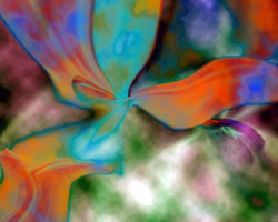 Flower Flower