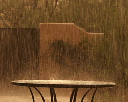 Rain Rain