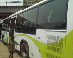 Bus Bus