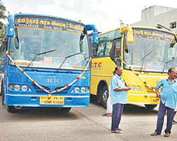 Bus Bus