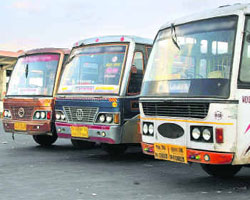 Bus Bus