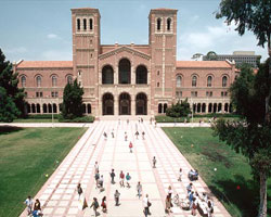 Californa University Californa University