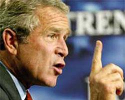 Bush Bush