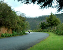 Ooty Ooty