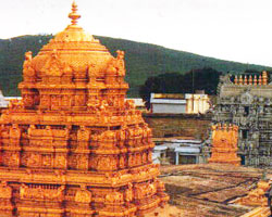 Tirupathi Temple Tirupathi Temple
