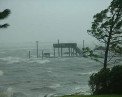 Tropical Storm Tropical Storm
