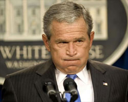 Bush Bush