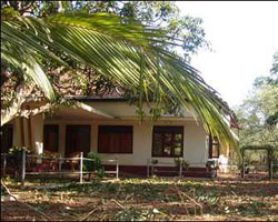 LTTE Political Head Office LTTE Political Head Office