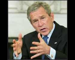 Bush Bush