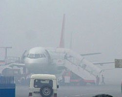 Fog Fog