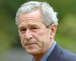 Bush Bush