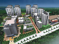 Township Township