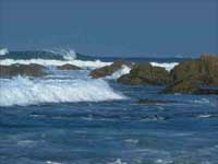 Ocean Ocean