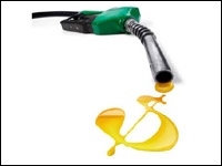 Oil Oil