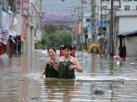 Typhoon Typhoon