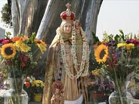 Velankanni matha festival begins today Velankanni matha festival begins today