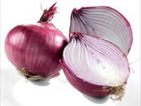 Onion cultivators worried of low price in Nellai Onion cultivators worried of low price in Nellai