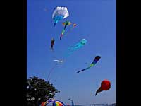 Flying kites banned in Chennai Flying kites banned in Chennai
