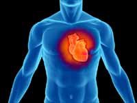 Heart Heart