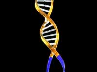 DNA DNA