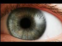Eye Eye