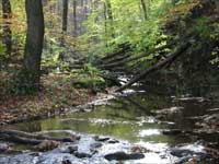 Nature Nature