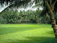 Land in batticaloa Land in batticaloa