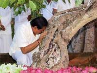 Rajapakse Rajapakse