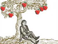 Newton Newton