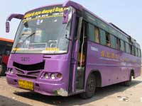 Bus Bus