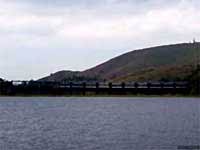 பெரியாறு அணை  - தமிழக, கேரள அரசுகள் 1 மாதத்திற்குள் அறிக்கை தாக்கல் செய்ய உத்தரவு