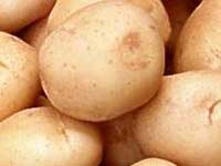 Potato Potato
