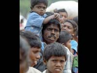 Eelam Tamils Eelam Tamils