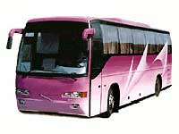 Bus Bus