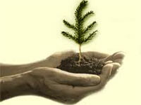 Venture Capital Venture Capital