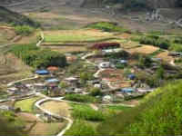 village Life village Life