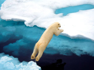Arctic Ocean Arctic Ocean