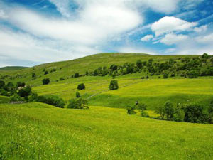 Idukki Idukki