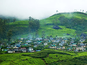 Devikulam Devikulam