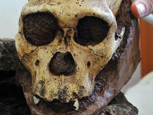 Most complete pre-human skeleton discovered Most complete pre-human skeleton discovered