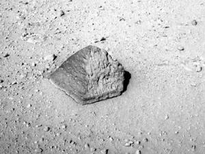 Mars Mars