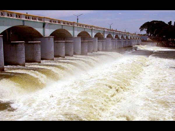 மத்தியஸ்தம் செய்ய வந்த கிரிப்பின்
