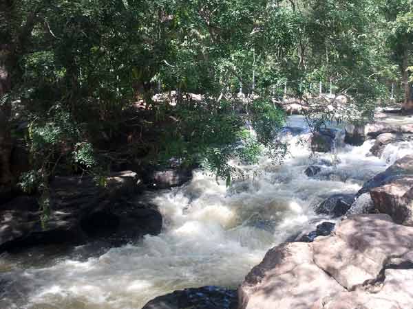 நியாயமாக நடந்த வெள்ளையர் அரசு