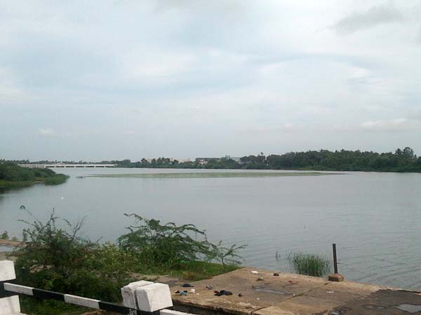 ரசாயனக் கலப்பு அதிகம்