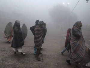North India freezes, Delhi coldest in 44 years North India freezes, Delhi coldest in 44 years