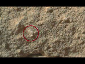 Mars Mars