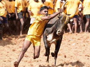 பழங்களே விருந்து
