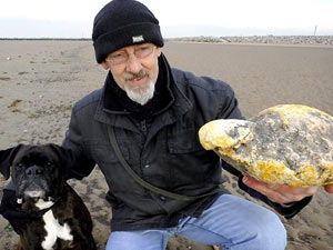 Man offered $65K for lump of whale vomit Man offered $65K for lump of whale vomit