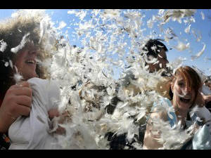 Pillow Fight Pillow Fight