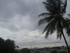 Rain Rain